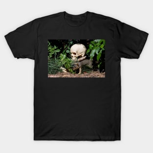 The Haunted Woods T-Shirt